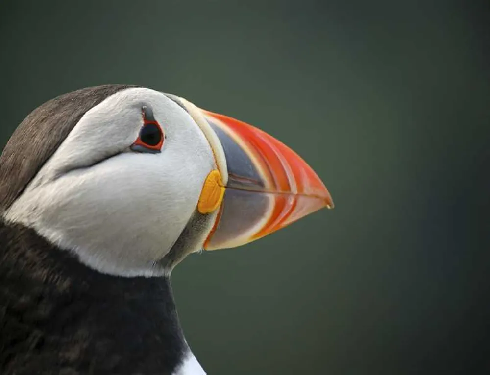 Mill House Caravan Park