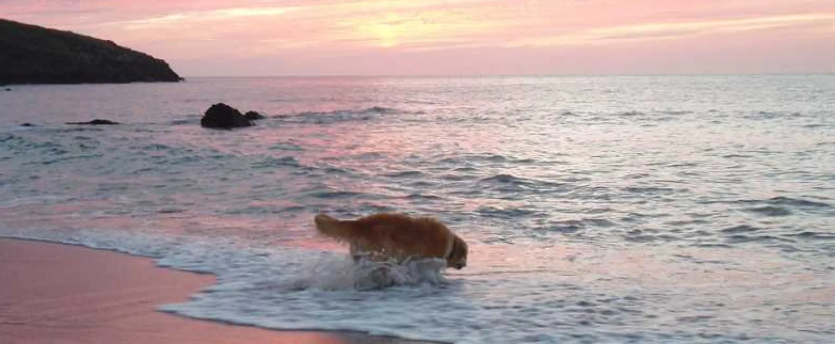 Mill House Caravan Park