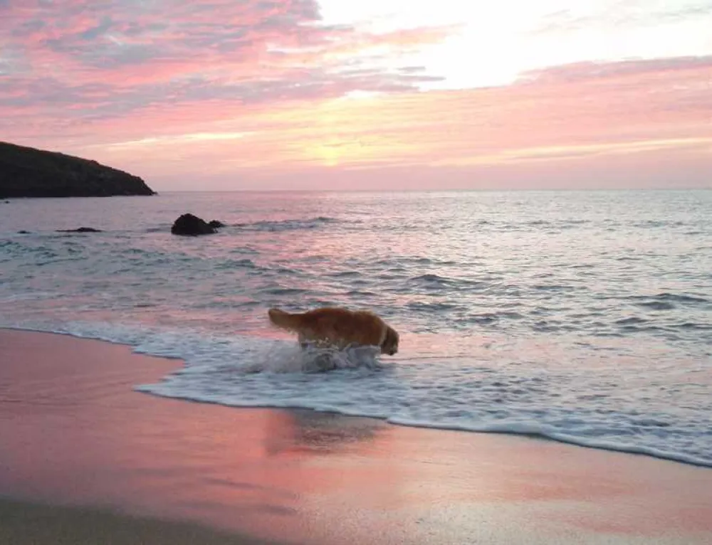 Mill House Caravan Park