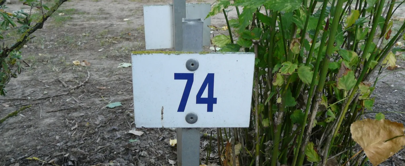 Camping du Port de Plaisance  