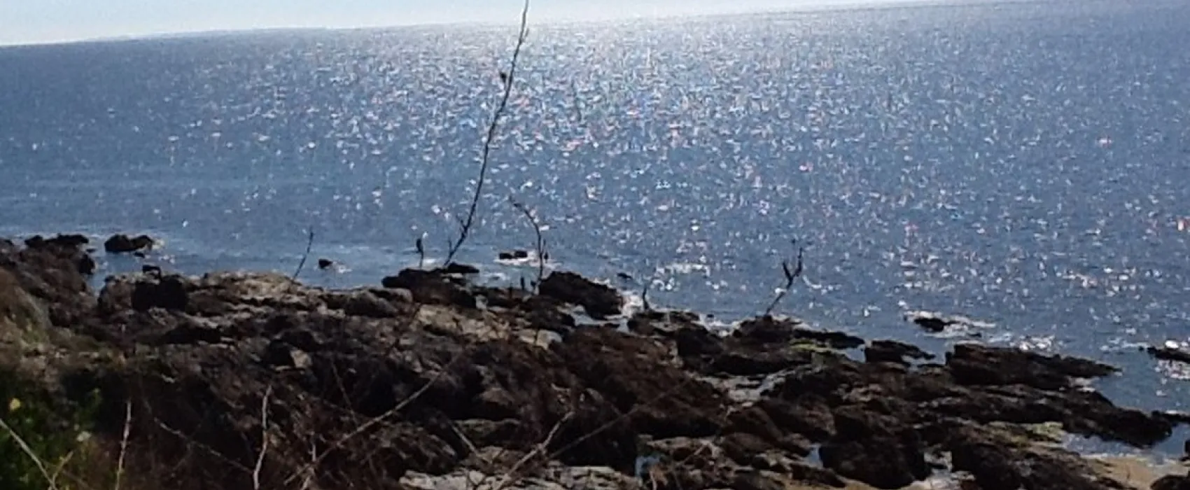 Camping Des Chaumieres