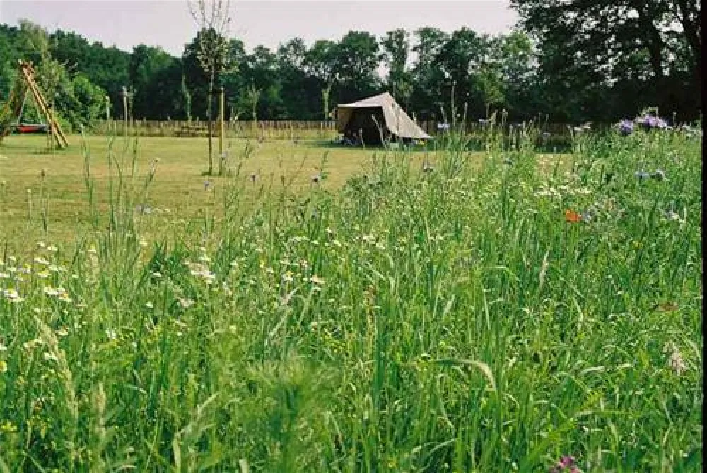 Natuurkampeerterrein Landgoed de Barendonk