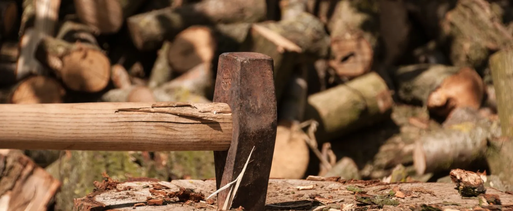 Camping Kampeerbosje Leerdam