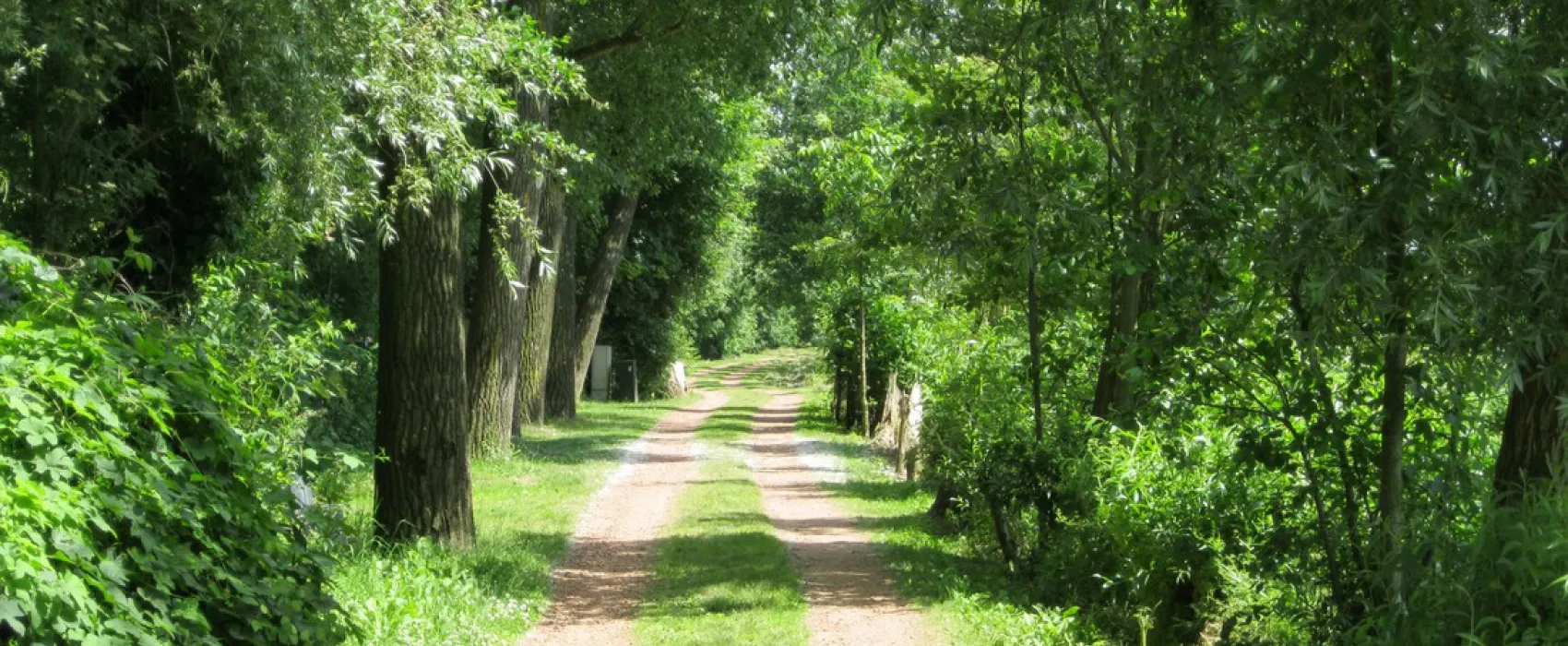 Camping Kampeerbosje Leerdam