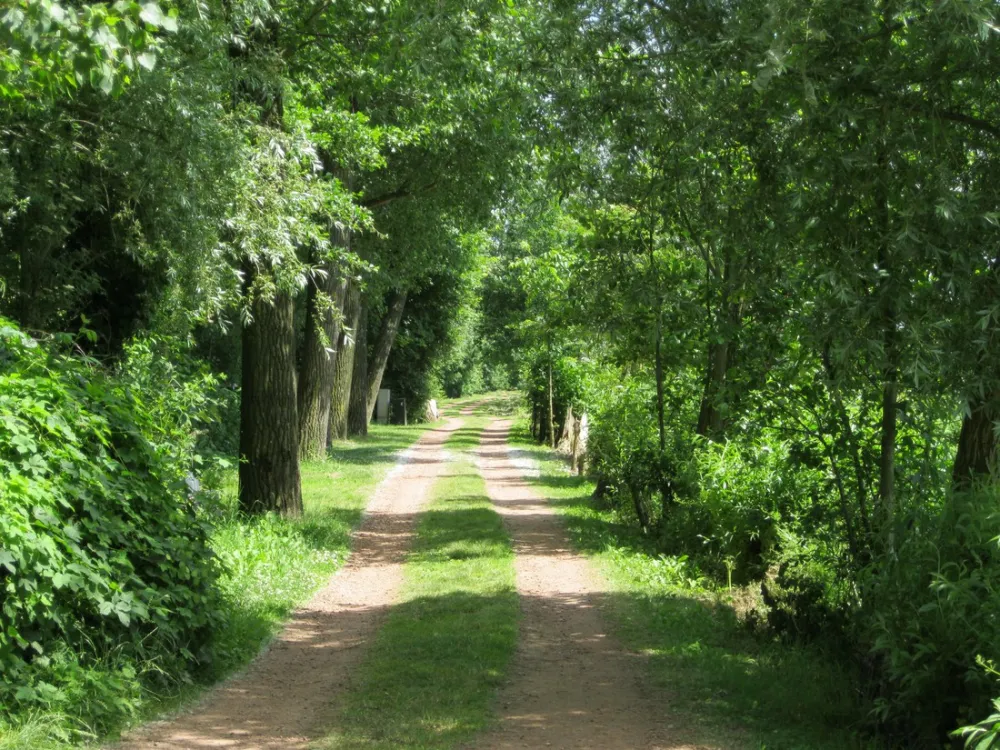 Camping Kampeerbosje Leerdam