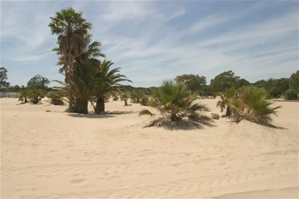 Camping Playa Las Dunas