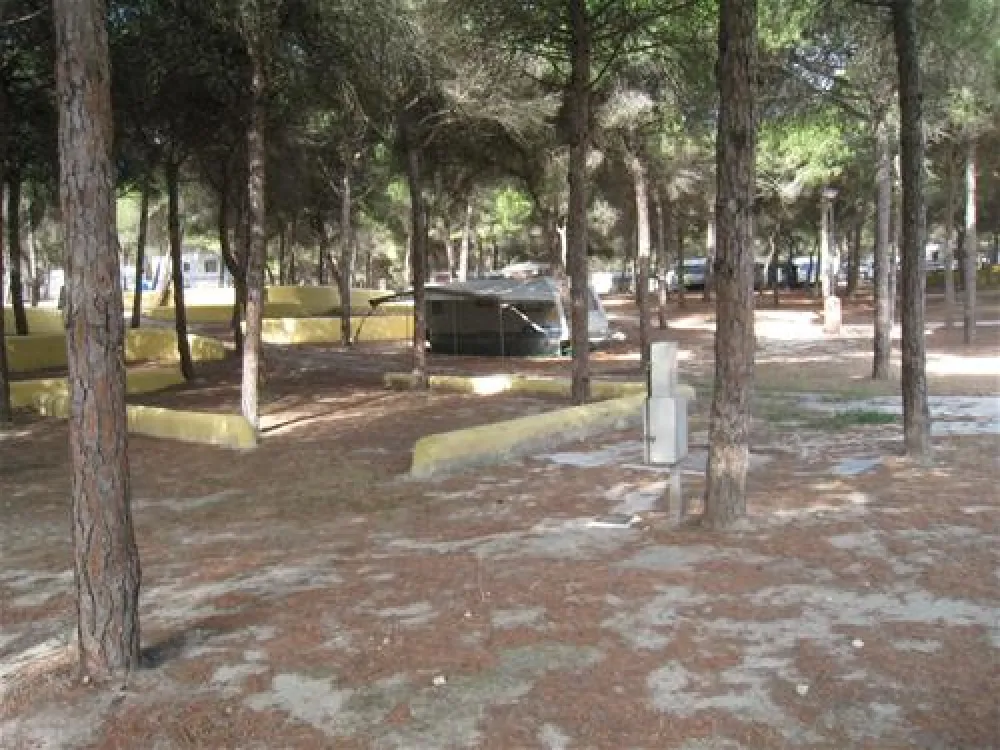 Camping Playa Las Dunas