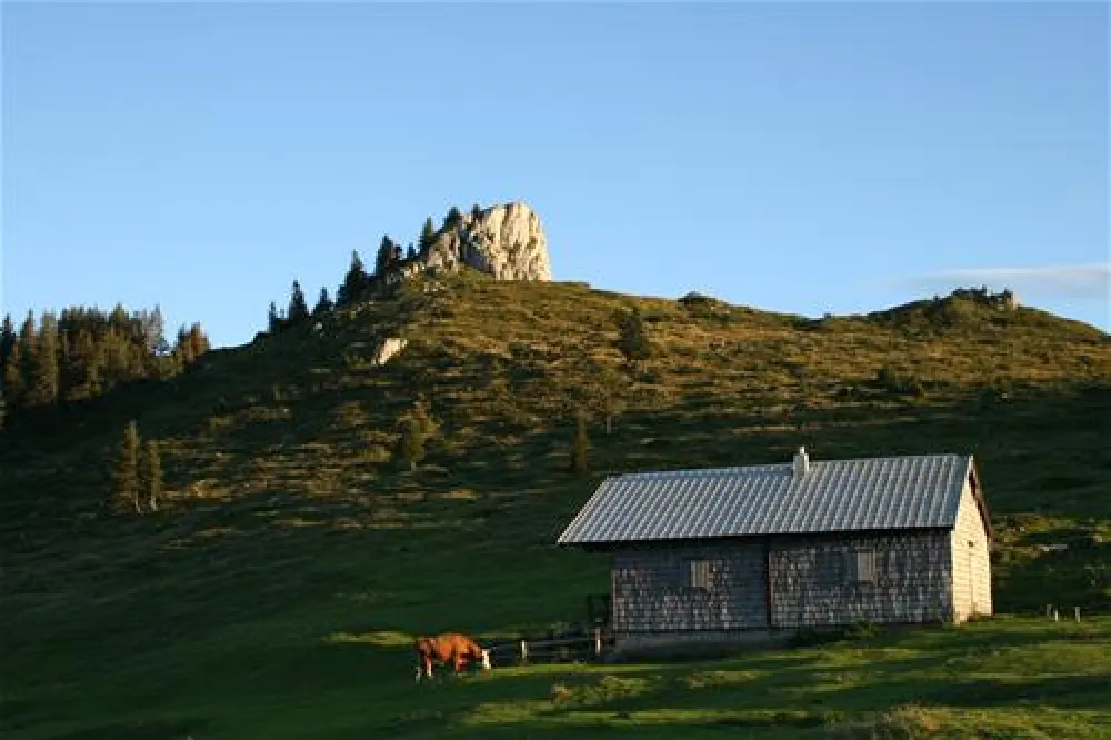 Seecamping Appesbach