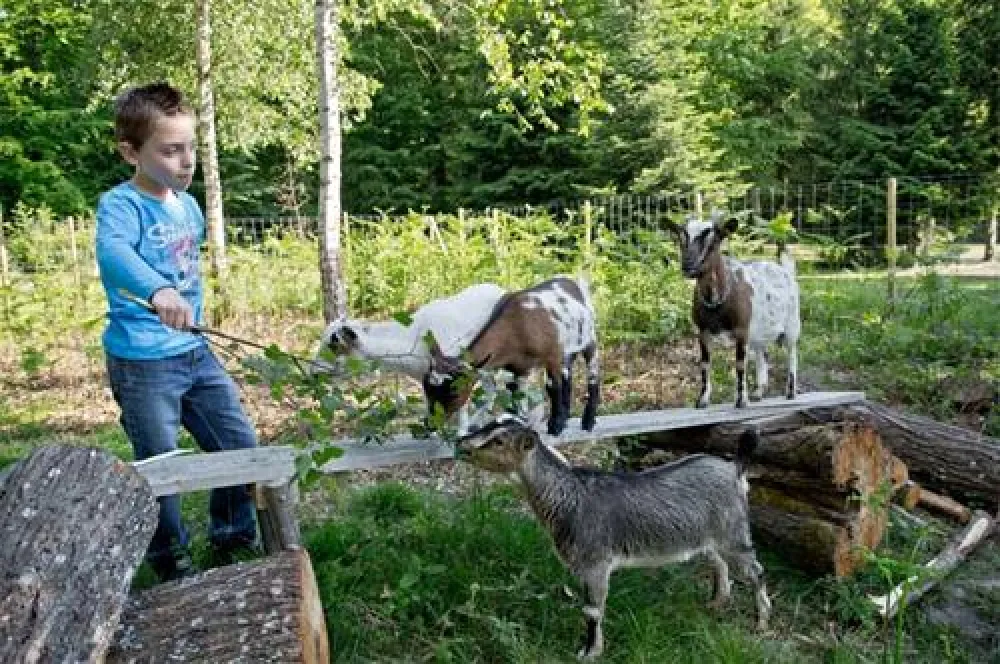 Camping Porte des Vosges  