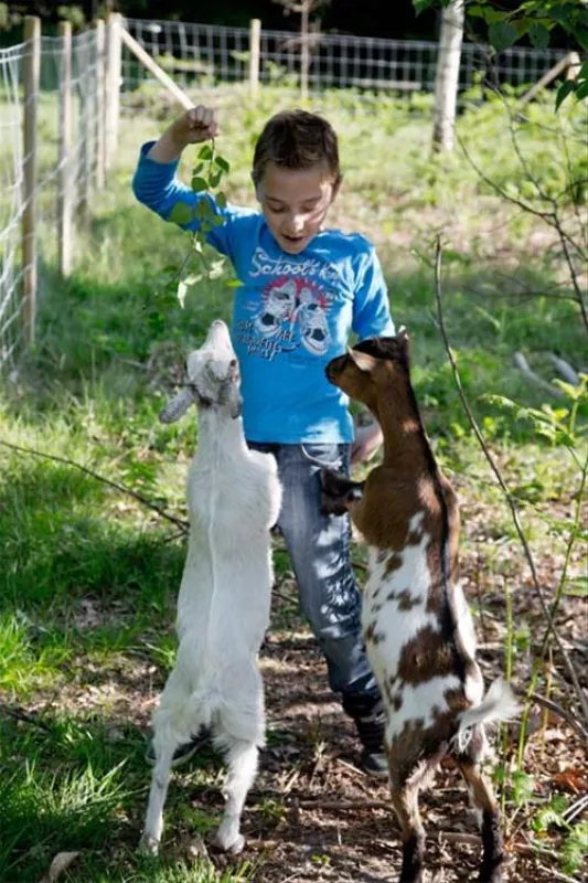 Camping Porte des Vosges  