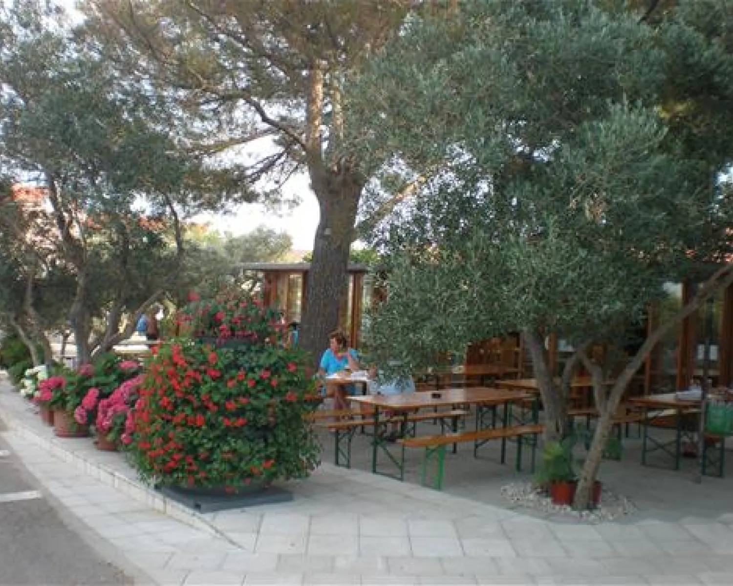 Camping Bor in Kroatien - Spottocamp - Spottocamp