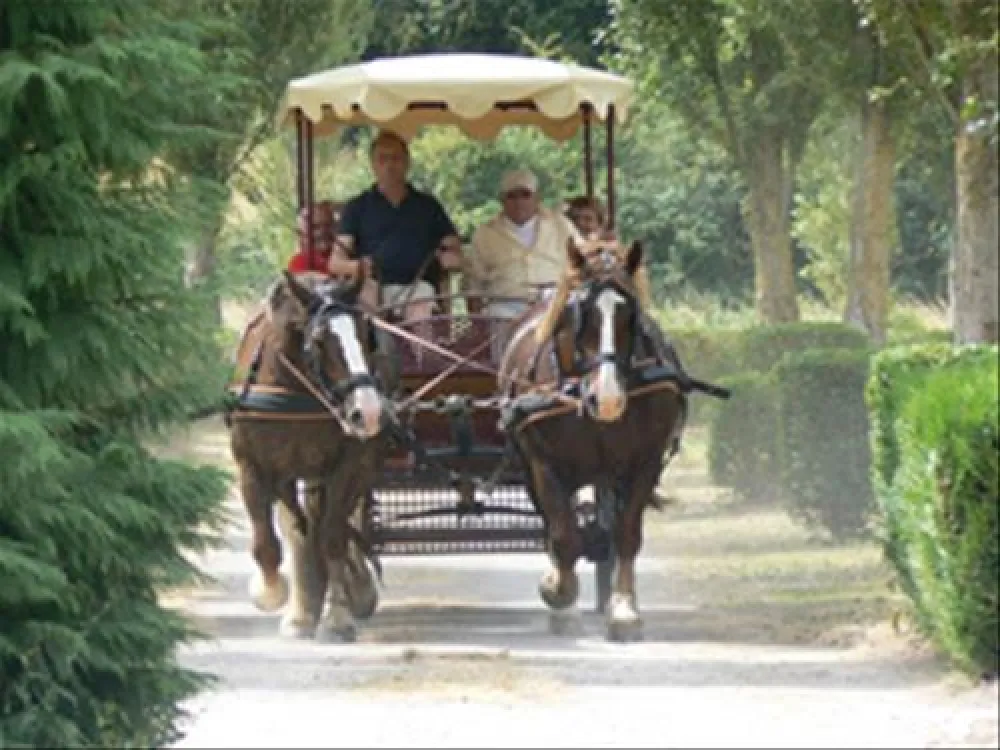 Flower camping - De La Promenade