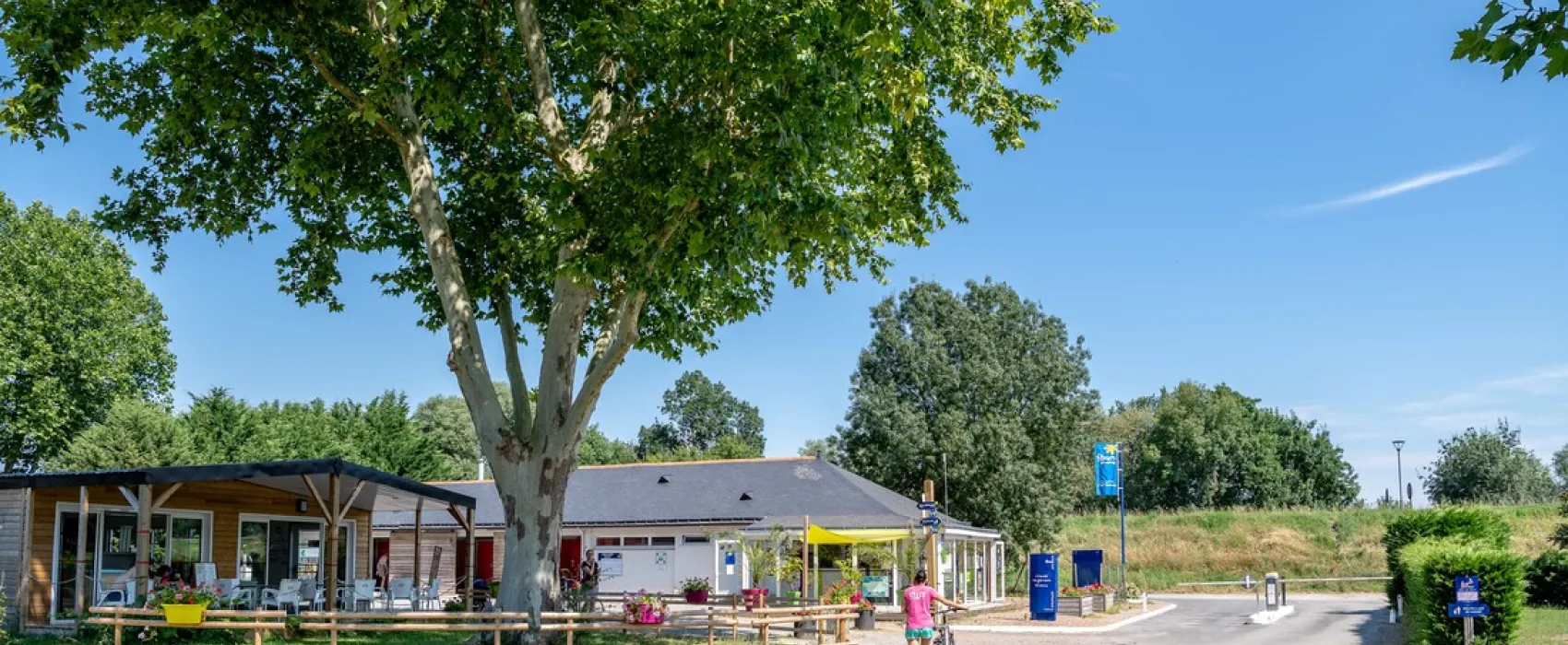 Flower camping - De La Promenade