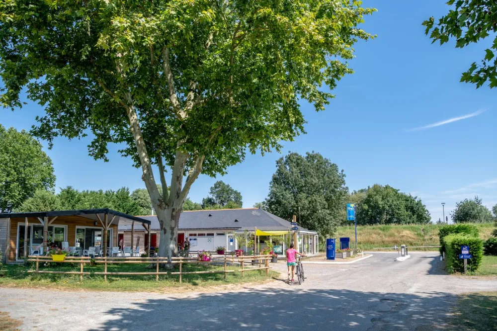 Flower camping - De La Promenade