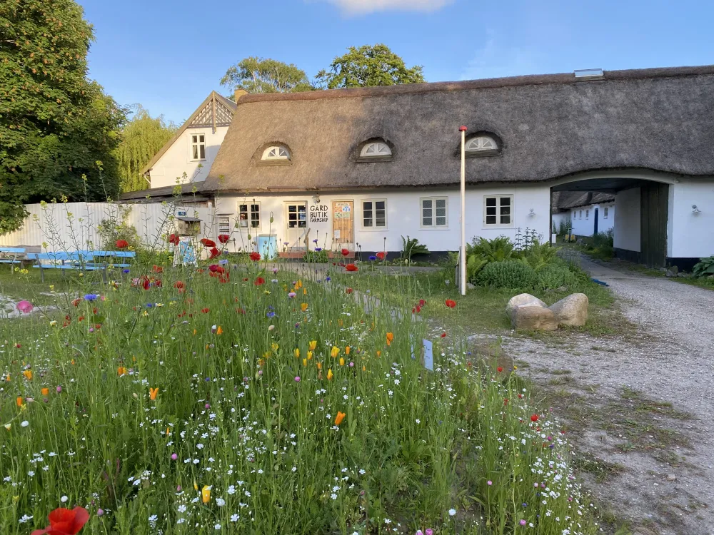 Byaasgaard - Farm Shop & Camping
