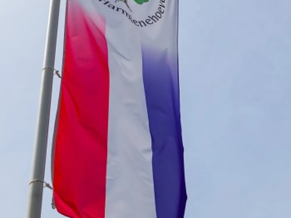 Camping de Harmienehoeve