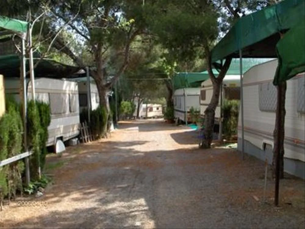 Camping Monte San Blas