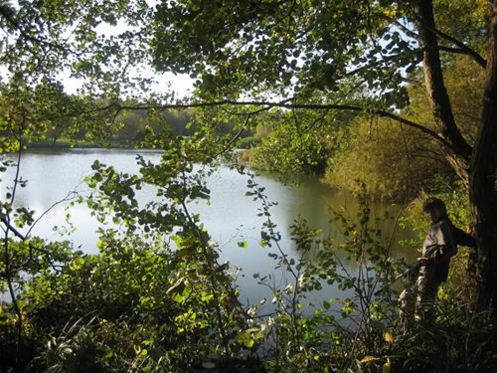Freizeit-Camping Lain am See Georg Heider e. K.