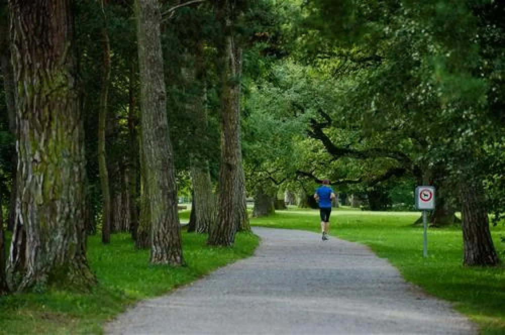 TCS Camping Thunersee