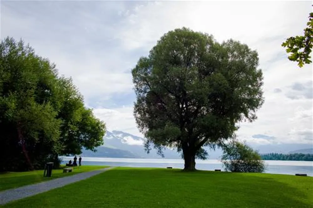 TCS Camping Thunersee