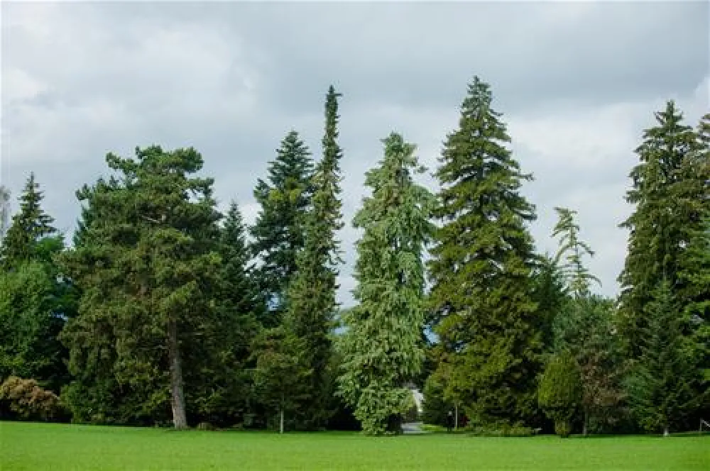 TCS Camping Thunersee