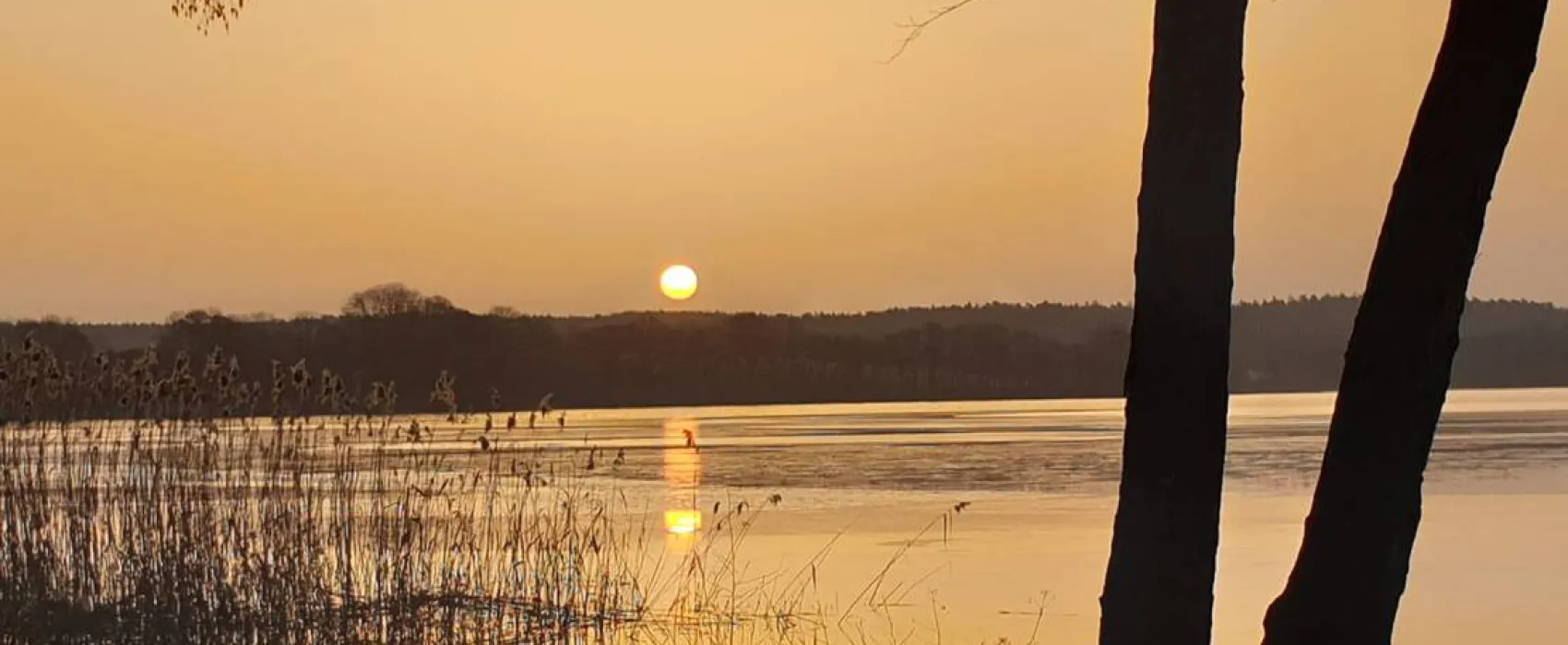 NFP - Natur-und Ferienpark Am Groß Labenzer See