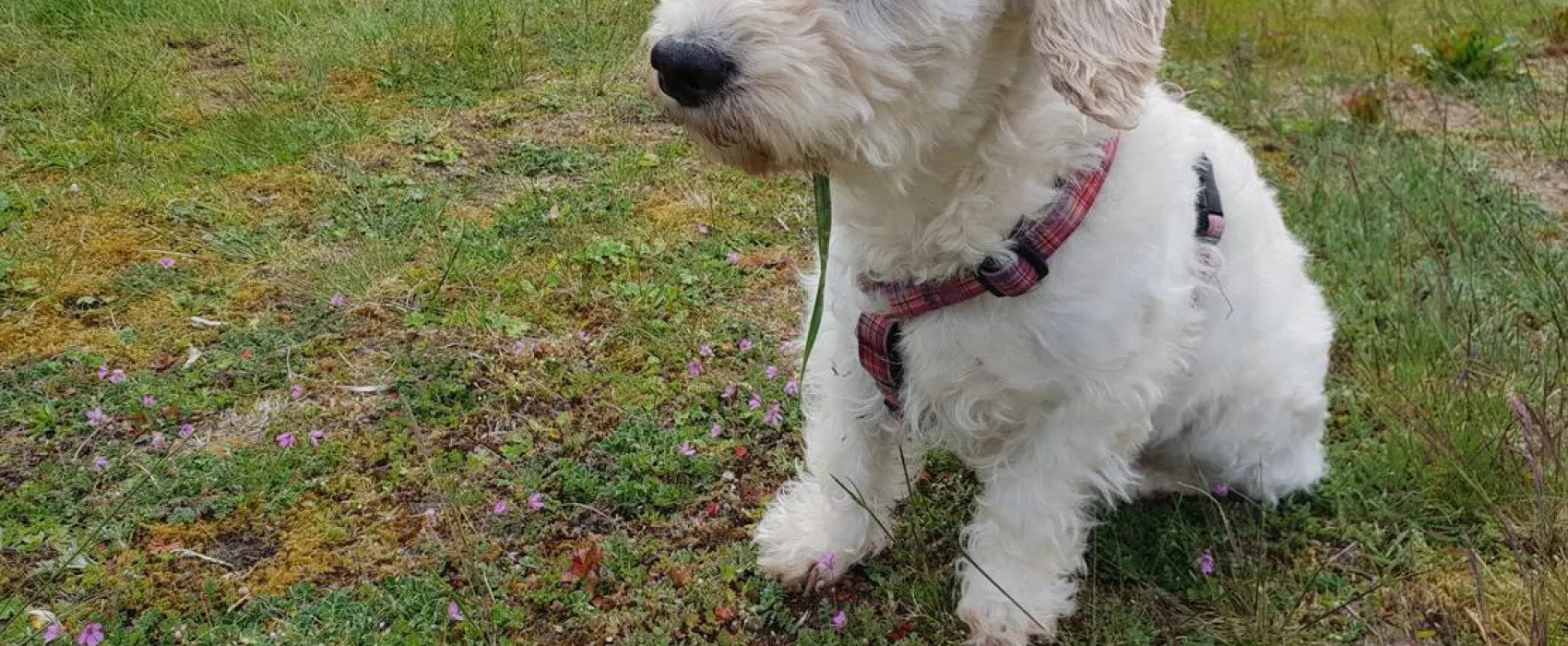 NFP - Natur-und Ferienpark Am Groß Labenzer See