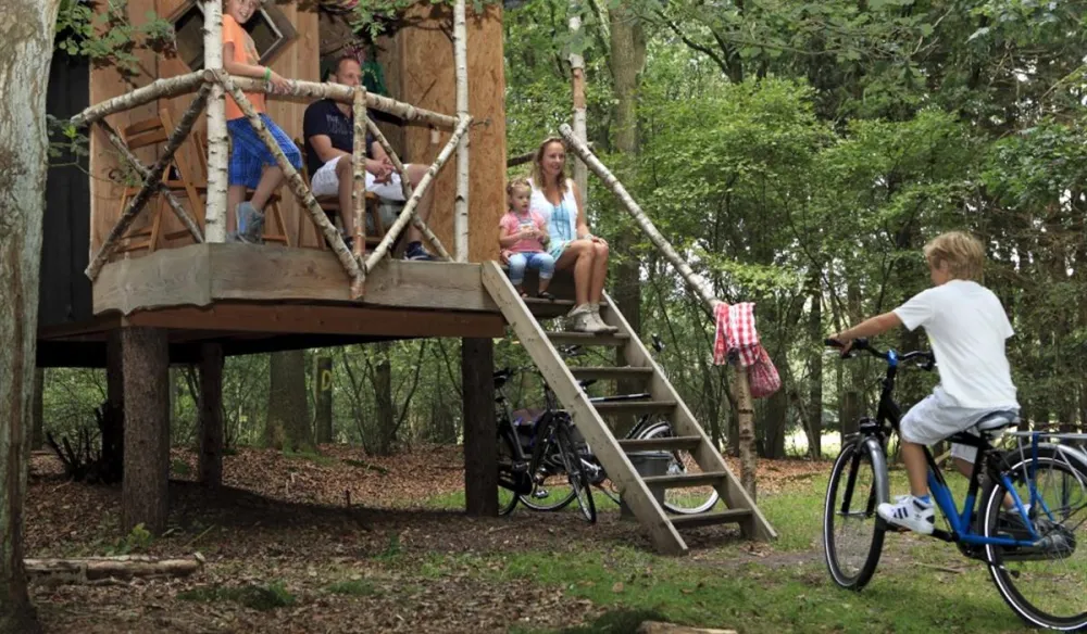 Camping Torentjeshoek