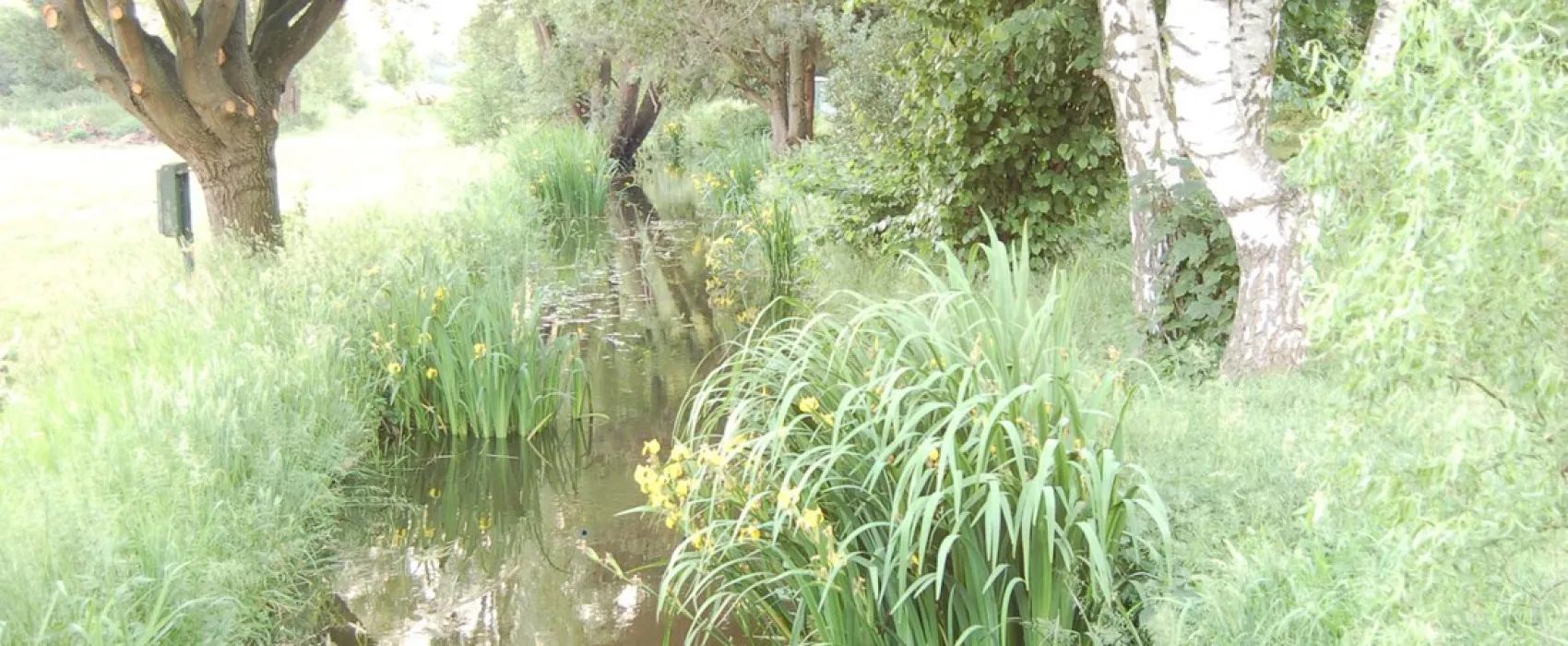 Camping-aller-leine-tal