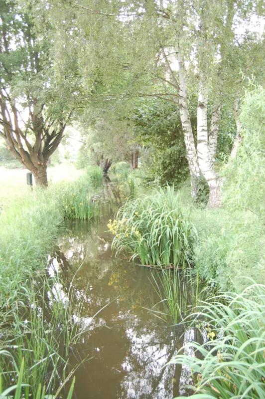 Camping-aller-leine-tal