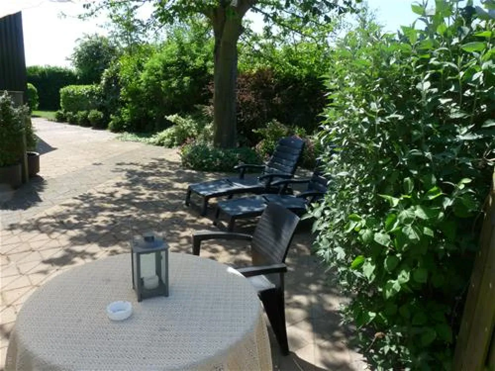 Mini Camping Korenbloem