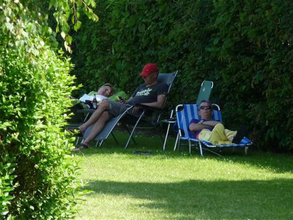 Mini Camping Korenbloem