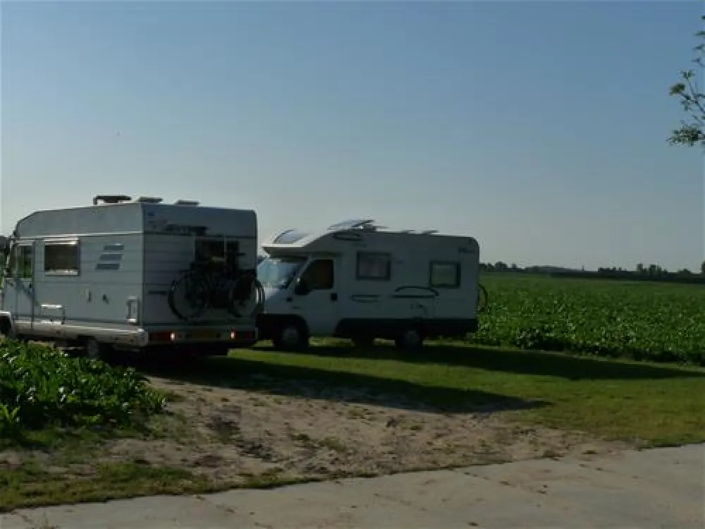 Mini Camping Korenbloem
