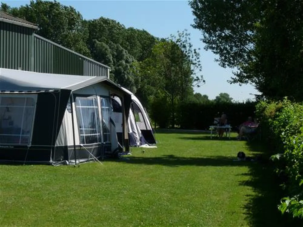 Mini Camping Korenbloem