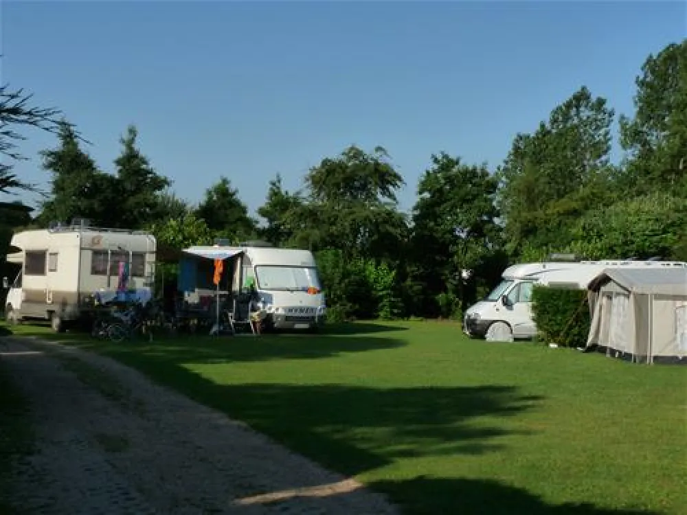 Mini Camping Korenbloem