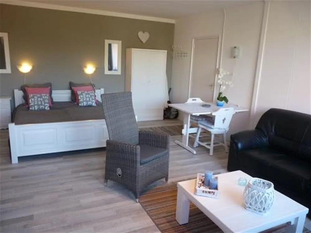 Mini Camping Korenbloem