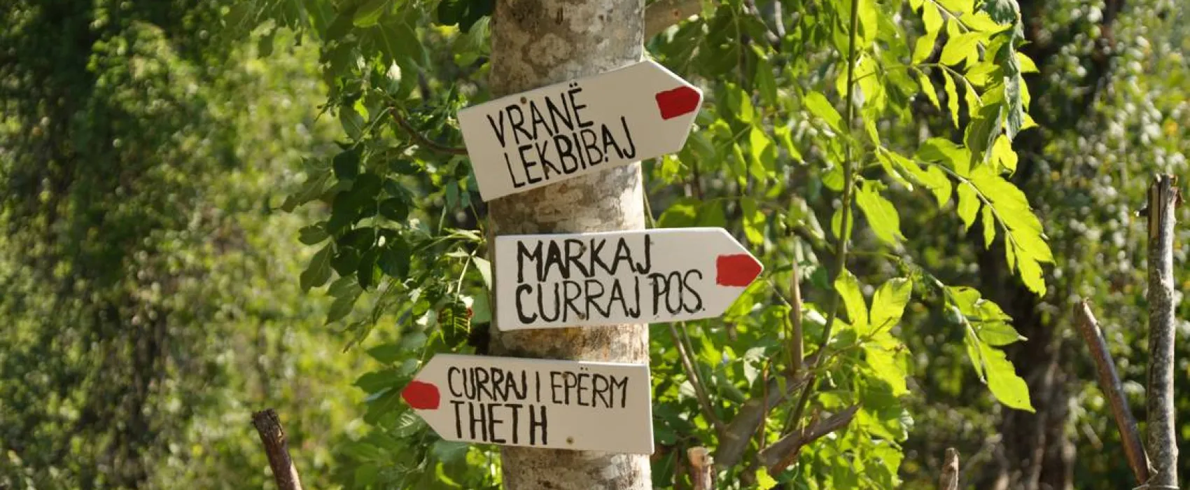 Curraj i Epërm Summer Camping