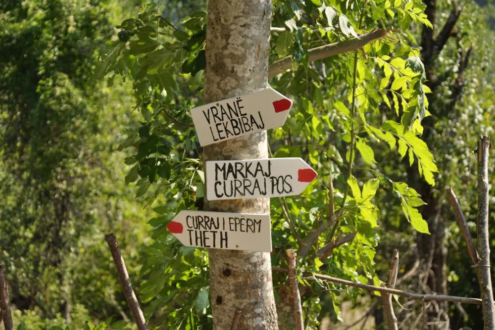 Curraj i Epërm Summer Camping