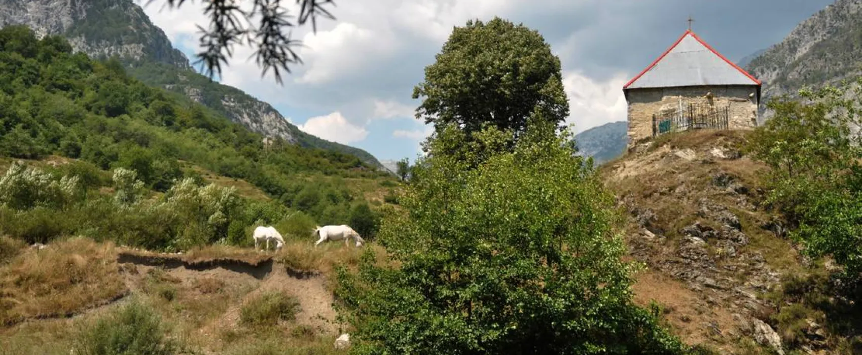 Curraj i Epërm Summer Camping