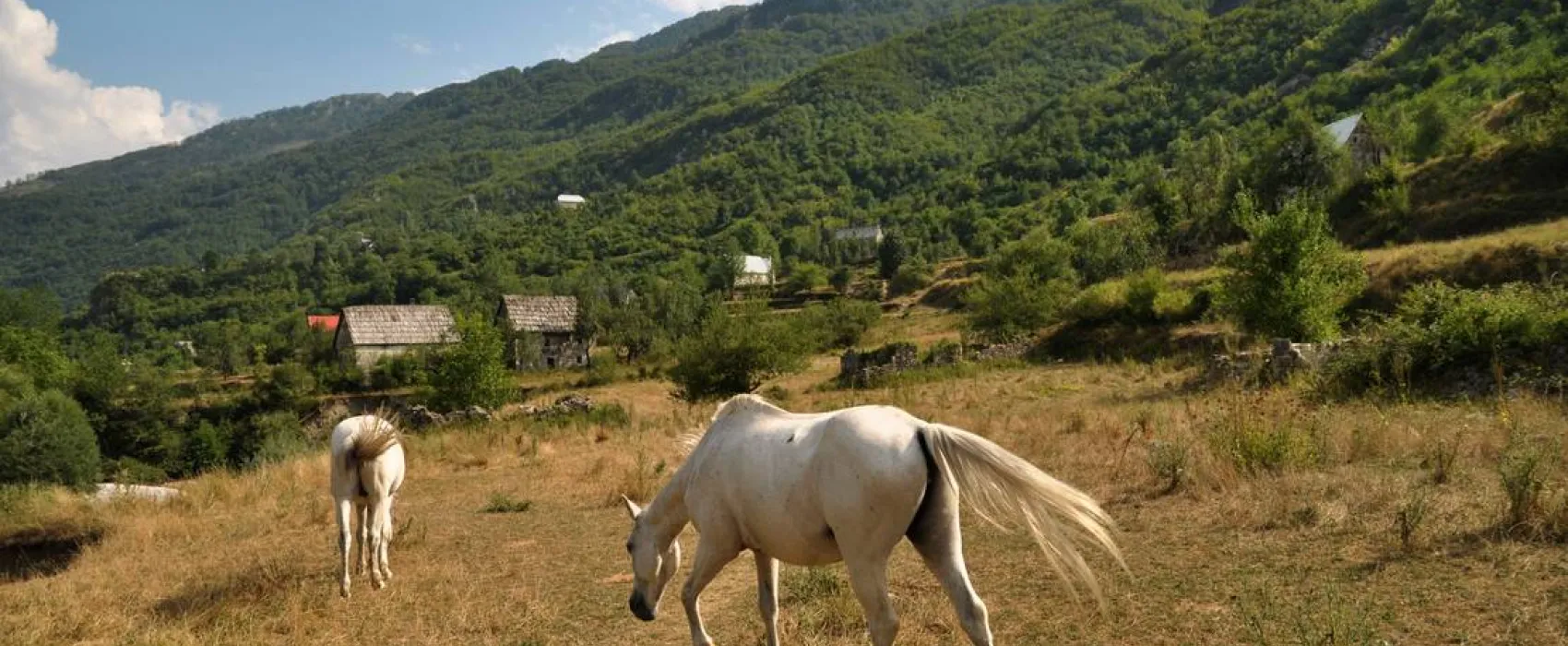 Curraj i Epërm Summer Camping