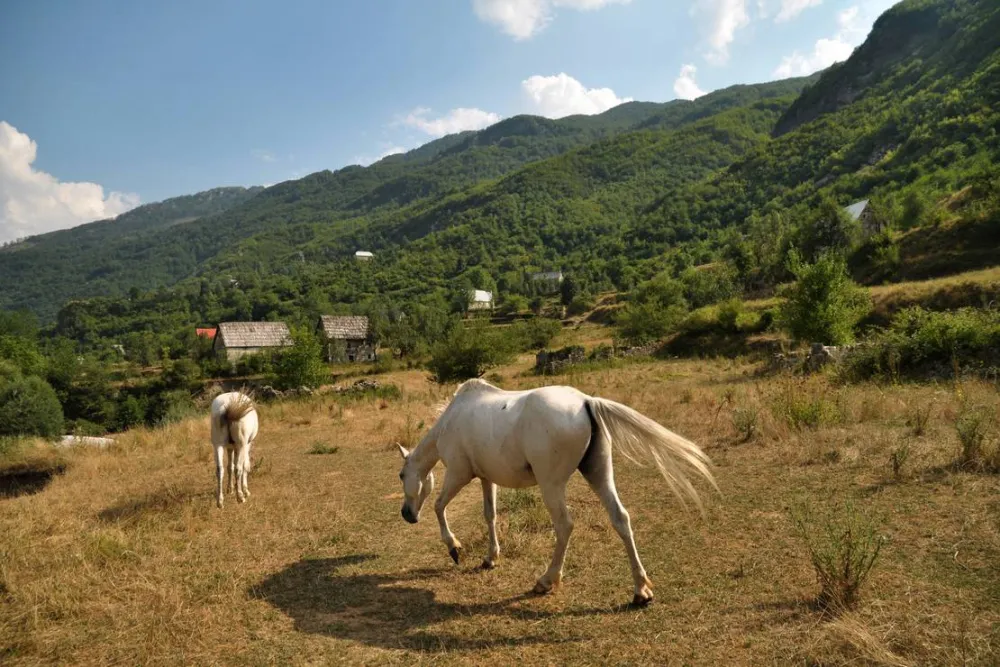 Curraj i Epërm Summer Camping
