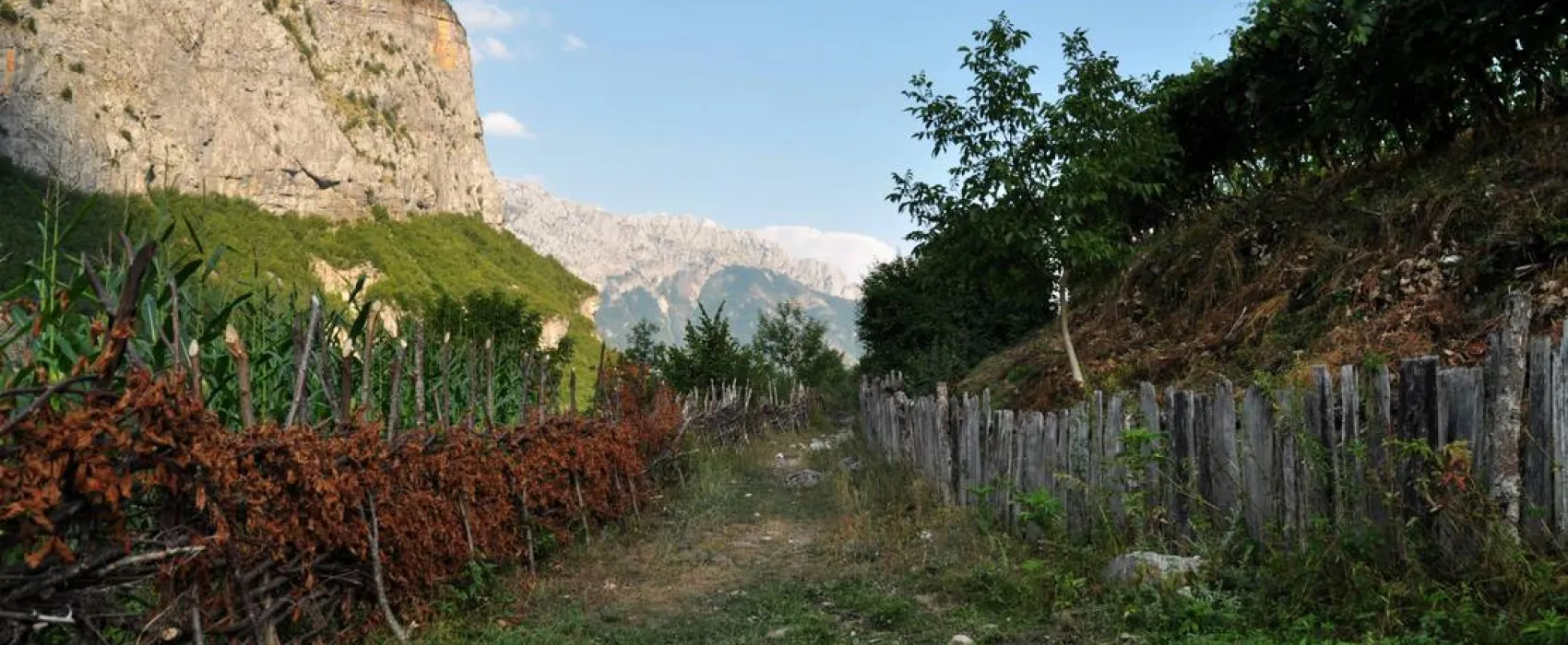 Curraj i Epërm Summer Camping