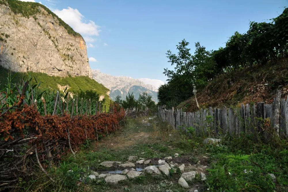 Curraj i Epërm Summer Camping