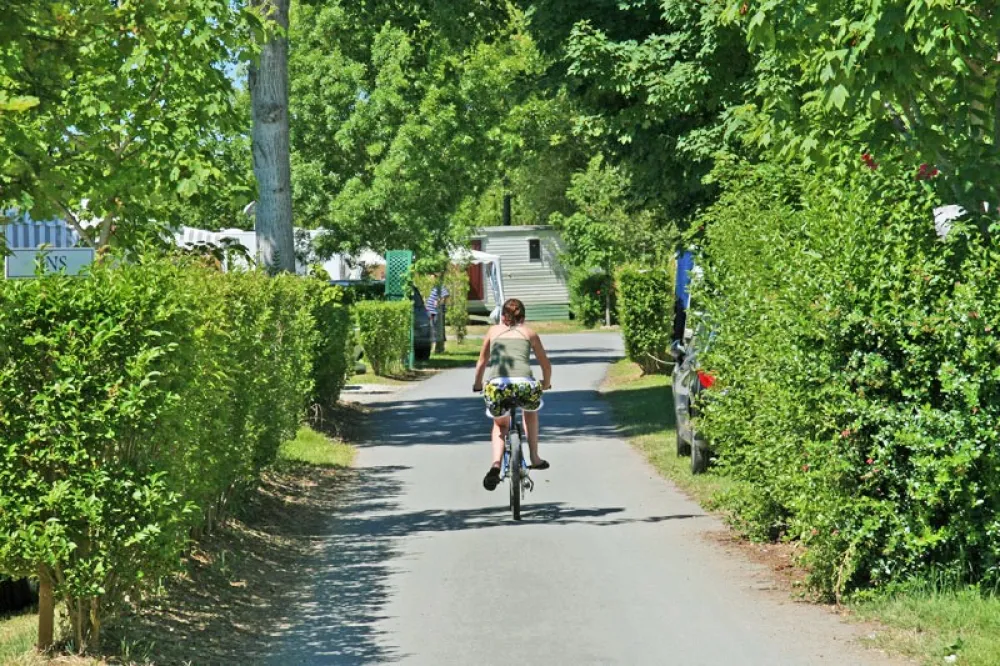 Camping Le Cottage Fleuri