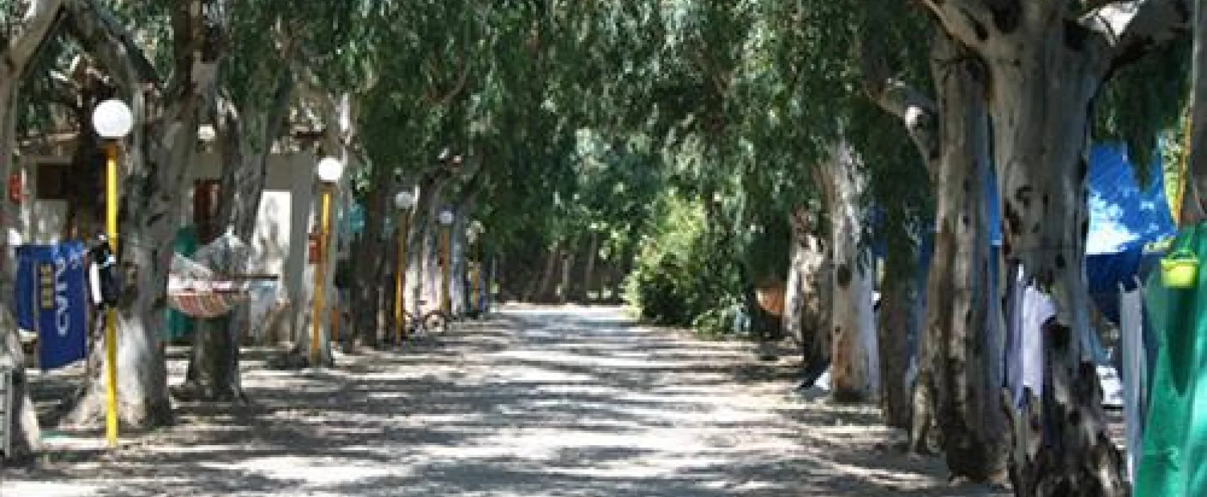 Villaggio Camping Calypso