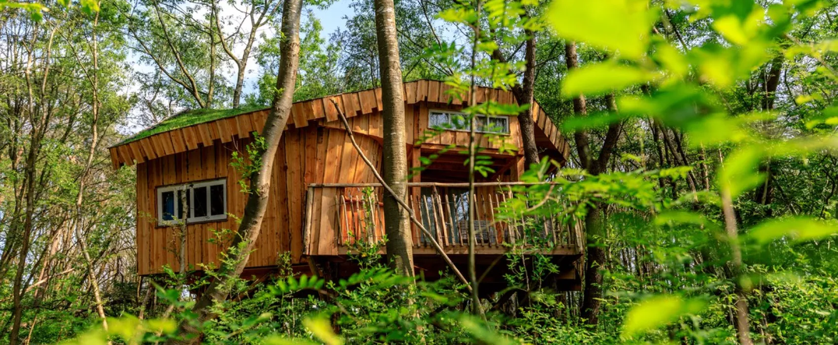 Camping De Reeënwissel