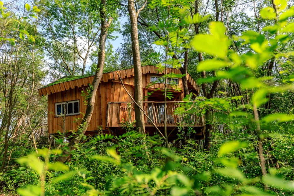 Camping De Reeënwissel