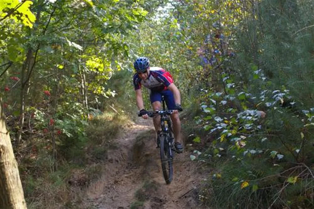 Camping De Reeënwissel