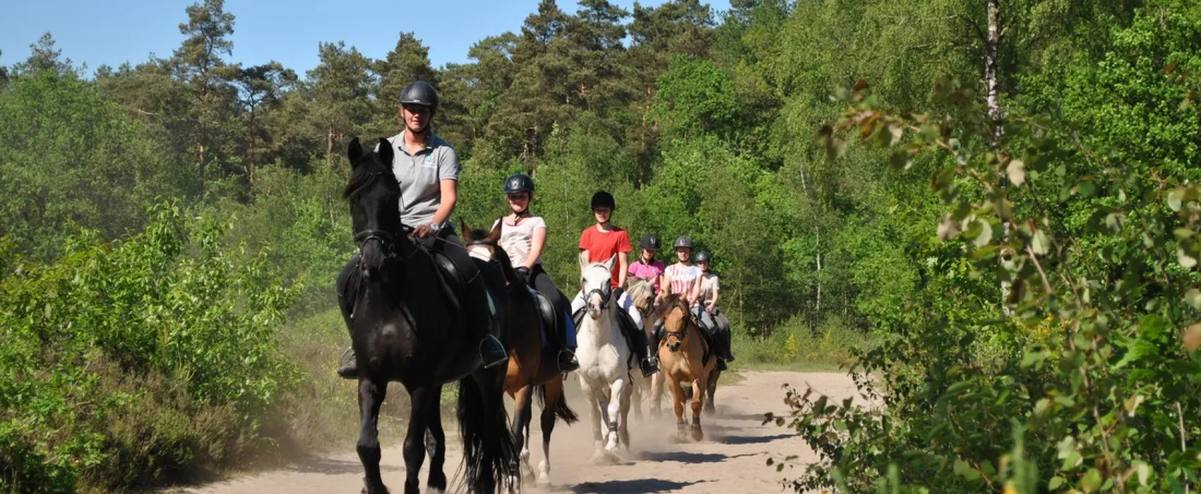 Camping De Reeënwissel