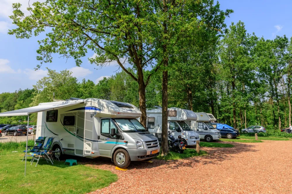 Camping De Reeënwissel